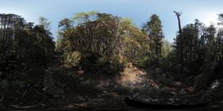 小金县长坪沟 (51)